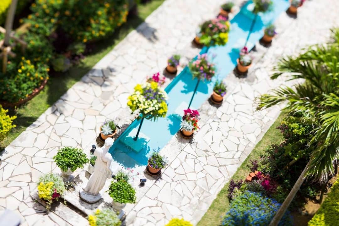 ホテル日航アリビラ 公式Instagramさんのインスタグラム写真 - (ホテル日航アリビラ 公式InstagramInstagram)「今年もパティオフラワーフェスティバル始まりました。青空の下、花を愛でるひと時をお過ごしください。  This year's Patio Flower Festival has just begun. Spend some time in the beauty of the flowers under the blue sky.  #hotelnikkoalivila #alivila #hotelnikko #resort #okinawa #yomitan #patio #garden #flowers #tropicalflowers #tropicalplants #containergardening #relaxing #アリビラ #ホテル日航 #リゾート #沖縄 #読谷 #パティオ #ガーデン #花 #フラワー #南国の花 #南国の植物 #寄せ植え #くつろぎ」4月1日 17時16分 - hotelnikkoalivila