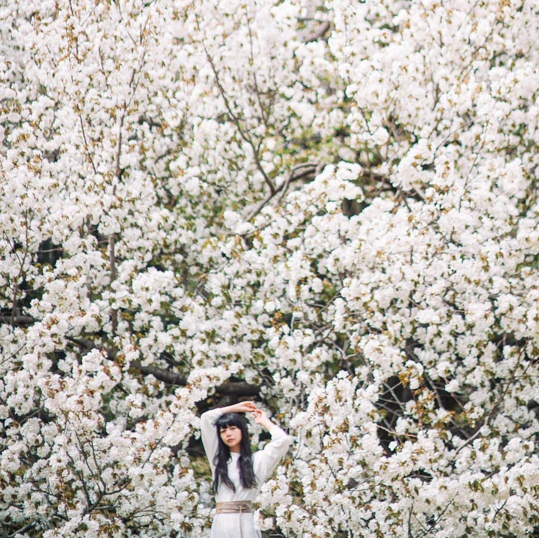 Naokoさんのインスタグラム写真 - (NaokoInstagram)「April🌸* * 今日から四月。 四月っていう二文字。 大好き。 タイトルになっている映画も観がち。 次は八月という文字が好き。」4月1日 17時18分 - chiaoking