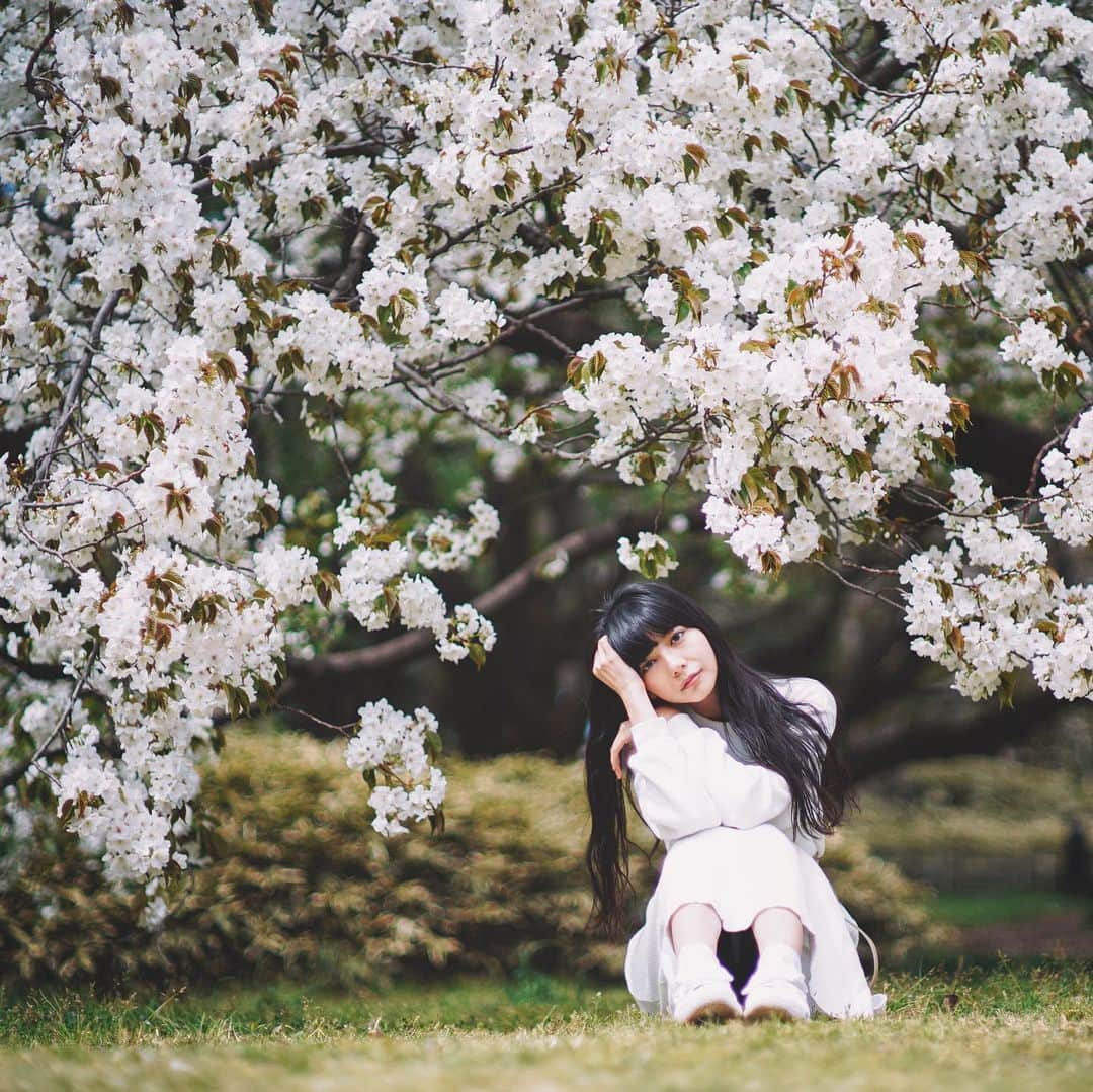 Naokoさんのインスタグラム写真 - (NaokoInstagram)「April🌸* * 今日から四月。 四月っていう二文字。 大好き。 タイトルになっている映画も観がち。 次は八月という文字が好き。」4月1日 17時18分 - chiaoking