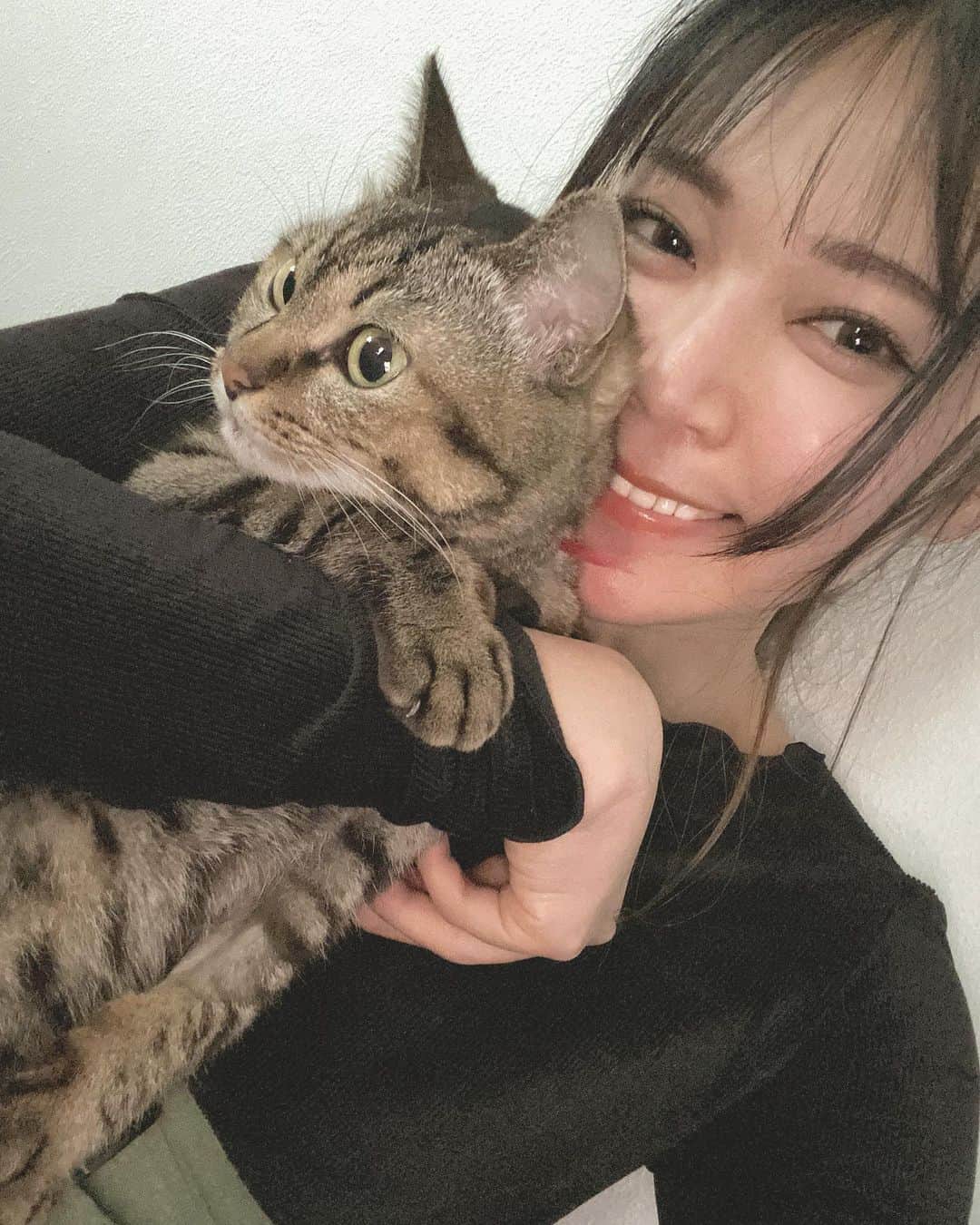 DJ mariennuのインスタグラム：「What should I do? at home. #stayhome #cat #ねこすたぐらむ」