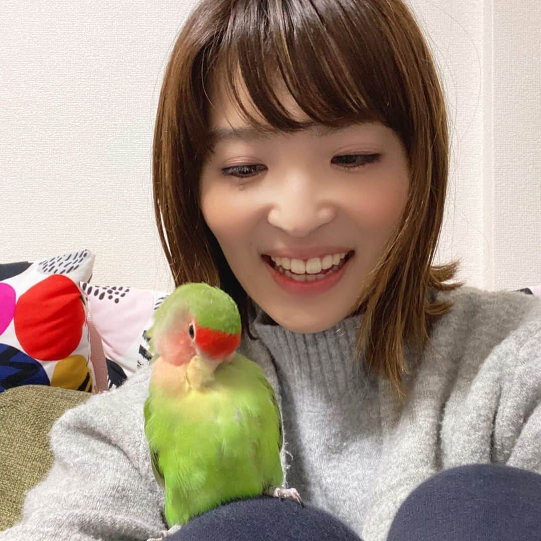 新田朝子のインスタグラム