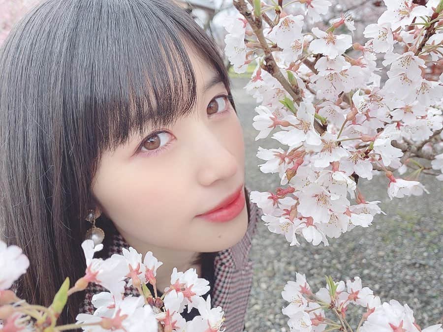 仙石みなみさんのインスタグラム写真 - (仙石みなみInstagram)「. ✿ 4月ですね！ 色々大変な時期ですが、、皆で前を向いていきましょう☺︎ . #spring #april #春 #桜 #cherryblossom」4月1日 19時08分 - sengoku_minami