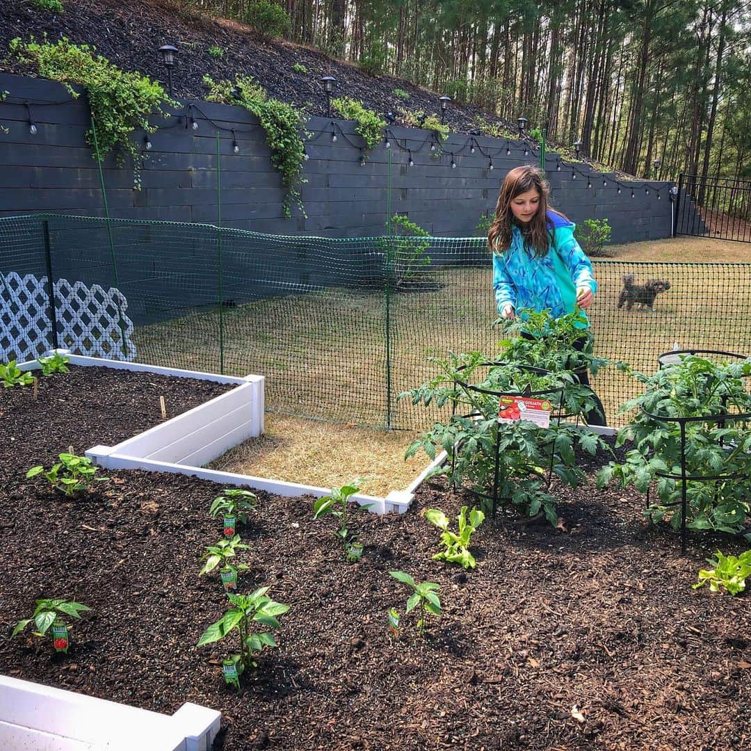 Angie Keiserのインスタグラム：「A couple weeks ago, when the 💩 really started hitting the fan, and friends were confiding about their uncertainty, we decided to plant a garden. I have no idea when we’ll all have work again, but I can attempt to grow food to feed our families 🥬🍅🥕🥒🌽 How are you doing these days? What’s your new reality and how can we help?」