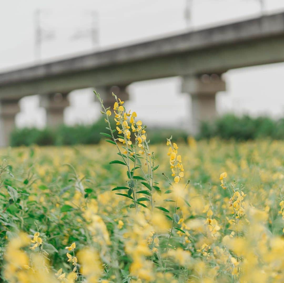 李翔さんのインスタグラム写真 - (李翔Instagram)「酒一定要倒到表面張力這樣。 #SonyAlpha #SonyA7m3 #sel85f18  @sonytaiwan  @sonyalpha」4月1日 21時17分 - rookie030