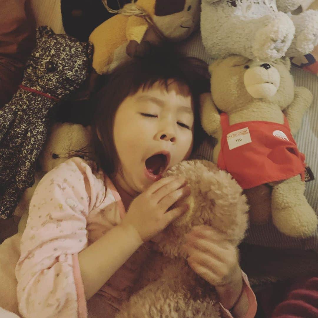坂本美雨さんのインスタグラム写真 - (坂本美雨Instagram)「仲間に囲まれるなまこ 一枚の手前のハダカのクマはわたしが4歳くらいの頃に父におみやげでもらった〈かわいいしんけんちゃん〉と名付けた子。 かわいいけど真剣な顔してるから、かわいいしんけんちゃん。 ハダカじゃないクマはTED。 どうか映画TEDの存在に気づきませんように🙏 #今日のなまこちゃん  #4歳8ヶ月」4月1日 21時45分 - miu_sakamoto