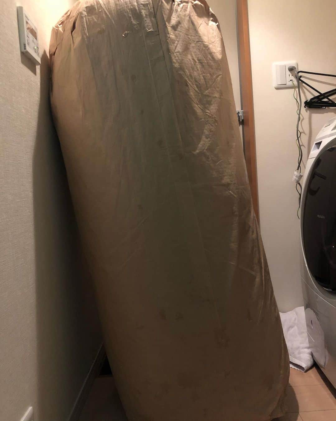 北村エレンのインスタグラム：「マジで米180キロ届いて草  エイプリルフールってLINEで終わらせるものじゃないの？笑」