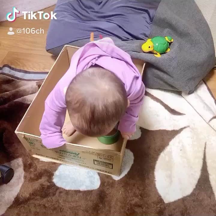 成田童夢のインスタグラム：「新しい家をGETだぜ(∩´∀`∩)♡ https://vt.tiktok.com/M5sMUQ/ #ダンボールハウス #今日の童夢さん #日常vlog #子供のいる暮らし #赤ちゃんのいる生活」