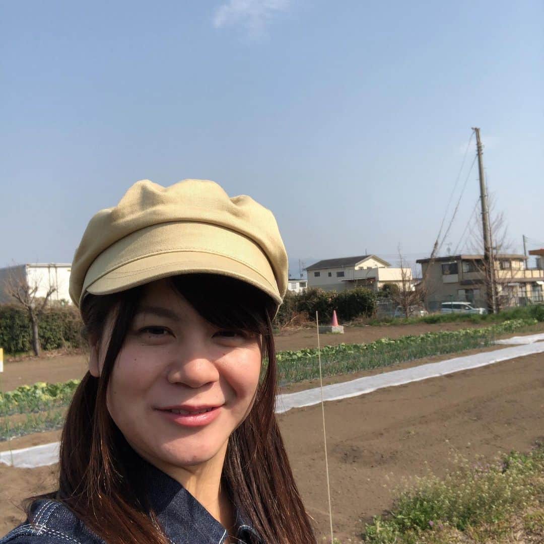 能登瑶子のインスタグラム：「私の農園🍅🍆✨ 今日から新年度と言う事で、皆さんは何か始めましたか？ 私は家庭菜園始めます！ヾ(๑╹◡╹)ﾉ" JA群馬中央会の相方とともに美味しい野菜が収穫できるよう頑張ります！✨ 詳しくは来週のJAみどりをご覧下さい( ´ ▽ ` ) . #JA#みどりの風#家庭菜園#スタート#新年度#新たな挑戦#アドバイス#下さい#群馬テレビ#群テレ#アナウンサー」