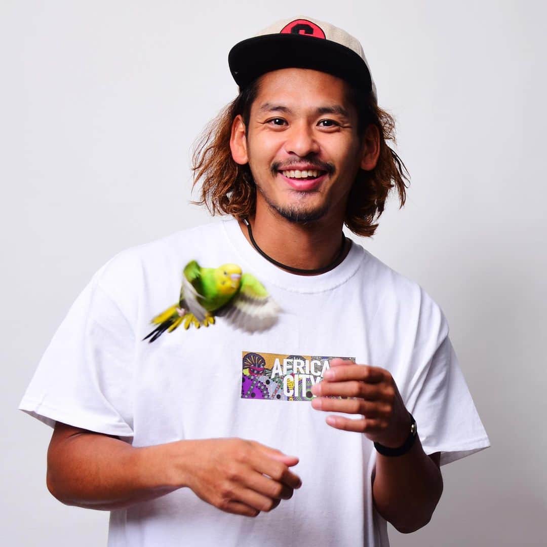 のインスタグラム：「うっとり🐤おっとり🐤してたら、  鳥🐤を取り逃した🐤いつでも待っとります🐤  最近オカメインコに興味が湧きすぎて飼いたすぎる🐤インコのオマリー君と遊ばせたいなあ🐤  #セキセイインコ #インコ #小鳥 #ペット #可愛い」