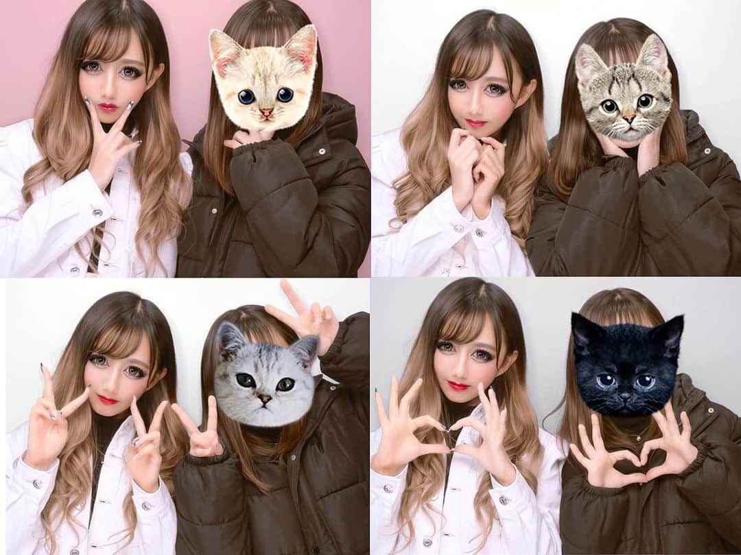 犬嶋英沙さんのインスタグラム写真 - (犬嶋英沙Instagram)「🐾 ㅤ 皆様、お元気でいらっしゃいますか？ 今日エイプリルフールだったけども冗談は程々にね💁🏼‍♀️ えいしゃは20年間生きててエイプリルフールに人を 騙した事がないのだけどもえいしゃの人生は毎日が エイプリルフールのようで、よく友達や大人に嘘を つかれます。MAX１日で３０人に嘘つかれた事が あるのですが高校３年生だったある朝教室に着くなり 「えいしゃ今日数学テストだよ！」ってみんなに 言われたのだけど当時えいしゃの成績は評定平均2.0 の１が５個で退学か留年がかかっていたので 「今から勉強してもわかんないよー😭」と、 泣きながら一日中勉強したのでありました。 ㅤ もちろんテストなどありませんでした。 ㅤ まあそんなことよりも昨日アンケートした前髪あり派 orなし派？で前髪あり派が多かったから前髪あるときの プリをのせたくなったんだよ💁🏼‍♀️ 最近伸ばしてたんだけどまた切ろうかしら…( ᷇࿀ ᷆ ) ㅤ ㅤ #わたしの人生 #毎日がエイプリルフール」4月1日 23時00分 - _eishachan