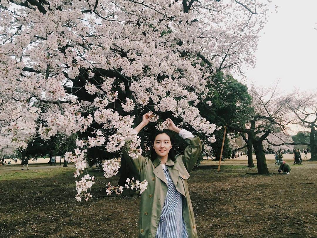 赤坂由梨のインスタグラム：「ㅤㅤㅤ ㅤㅤㅤ 今日の雨でちょっと桜が散っちゃったかな。。 今年はお花見出来なかったけど 桜は来年も咲いてくれる。 来年また大好きな人たちと見れるように いまは出来ることをコツコツと継続していこう🌸ㅤㅤㅤ  去年のお花見の写真から🦢」
