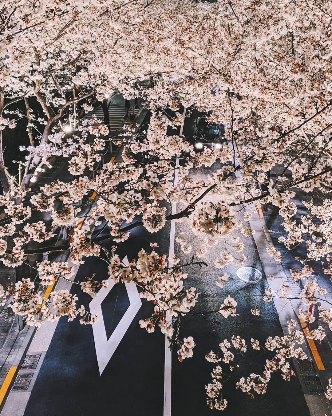 福田洋昭のインスタグラム：「🌆🌸#googleのスマホ #Pixelで撮影 #TeamPixel」