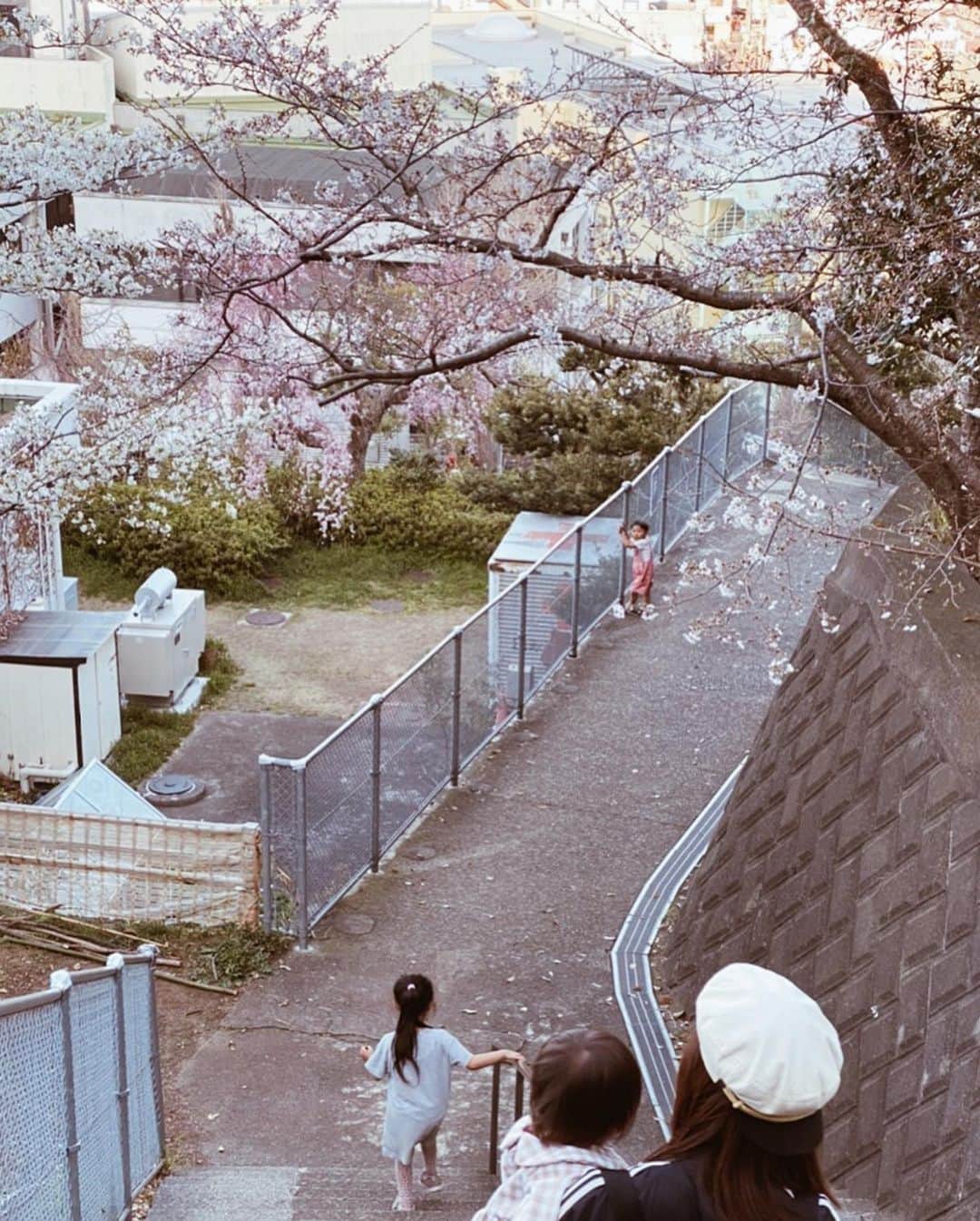 高橋菜摘さんのインスタグラム写真 - (高橋菜摘Instagram)「. 3月のいつか。 この時桜はまだ一歩手前🌸 📍吾妻山公園 家に篭りすぎてすでに ずっと前のような気がする。 きっと今頃満開かなぁ🌸💭 …と思うと切ない。 早くおもいっきりのびのびと 何でもない毎日過ごしたい！ . しかしなんでマスク… 要らない要らない要らない！ 外出しないし、うちまだあるし！ しかも世帯で2枚って😧?? エイプリルフールであってくれ〜😰 その莫大なお金 使うとこ選んで欲しかった。 #ぼやき」4月1日 23時24分 - natsu128