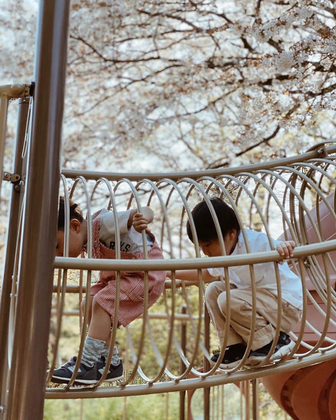 高橋菜摘さんのインスタグラム写真 - (高橋菜摘Instagram)「. 3月のいつか。 この時桜はまだ一歩手前🌸 📍吾妻山公園 家に篭りすぎてすでに ずっと前のような気がする。 きっと今頃満開かなぁ🌸💭 …と思うと切ない。 早くおもいっきりのびのびと 何でもない毎日過ごしたい！ . しかしなんでマスク… 要らない要らない要らない！ 外出しないし、うちまだあるし！ しかも世帯で2枚って😧?? エイプリルフールであってくれ〜😰 その莫大なお金 使うとこ選んで欲しかった。 #ぼやき」4月1日 23時24分 - natsu128
