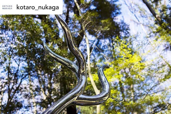 松山智一さんのインスタグラム写真 - (松山智一Instagram)「Repost @kotaro_nukaga  創建100年を祝い、3月20日から明治神宮で開催されている神宮の杜芸術祝祭の野外彫刻展「天空海闊」に、松山智一の立体作品《Wheels of Fortune》が展示されています。﻿ Tomokazu Matsuyama’s sculptural work “Wheels of Fortune” it presented in “Tenkukaikatsu”, an outdoor exhibition hosted by Meiji Shrine as they celebrate 100th anniversary of its establishment.﻿ ﻿ #MeijiShrine #tomokazumatsuyama #meijishrine #meijijingu #sculpture #artcollector #art #artist #松山智一 #明治神宮」4月1日 23時57分 - tomokazumatsuyama