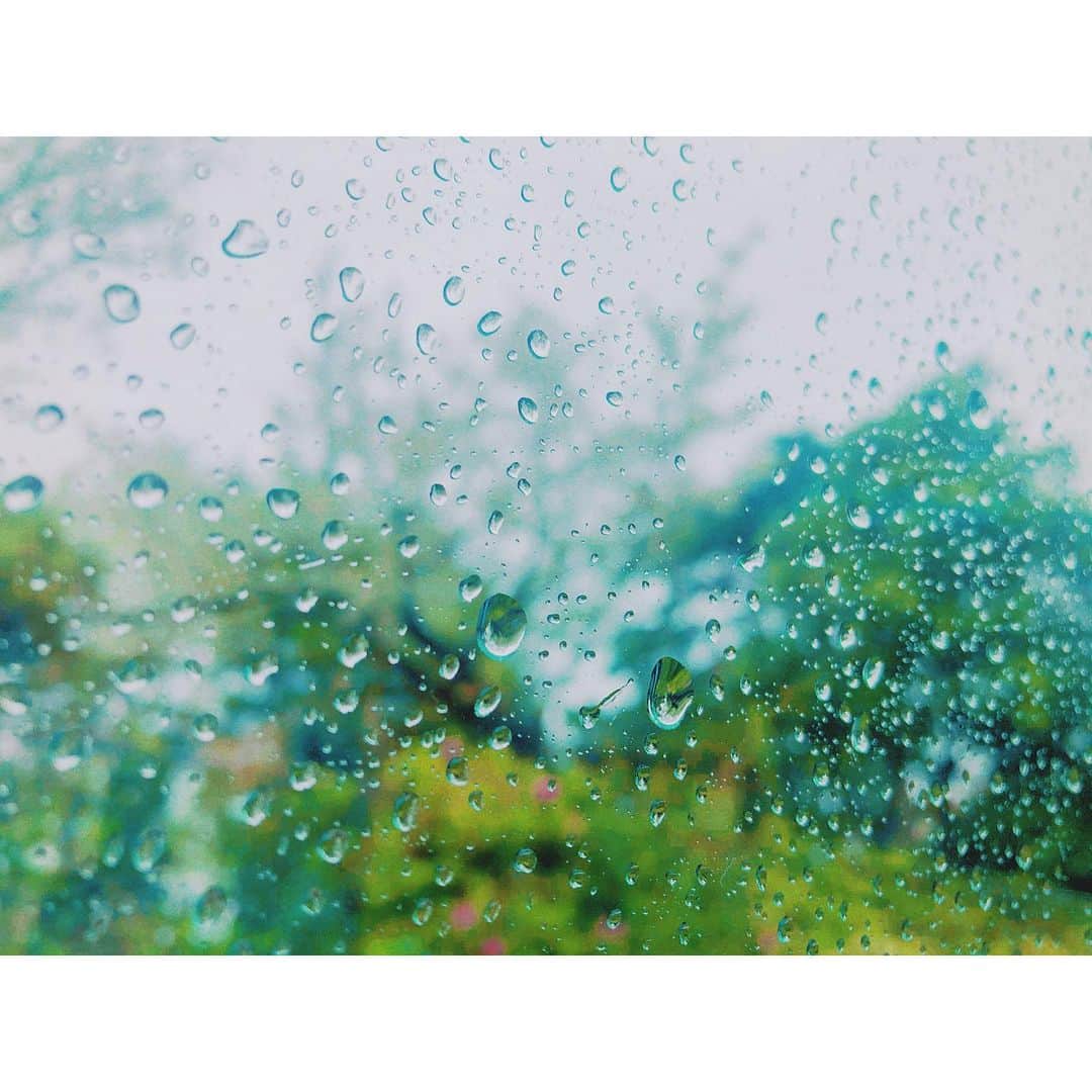 潘めぐみさんのインスタグラム写真 - (潘めぐみInstagram)「雨の日 . せめて天気だけでも良くなってくれたらなと思うけど、雨の日も、あながち嫌いじゃないよ！（何目線） . 雨だからこそ見られる景色とか、感じられる心配りとか、そういうの。 . 鬱屈としちゃうこともあるけど、自然に考えたら必要なことだもんね、雨が降るって。 . 降り過ぎたら、それはそれで、あれというかなんというか、過ぎたるは及ばざるが如しというやつで。 . わがままだけど！さ！ . 明日、天気になぁれ！ . #今日の一枚 #雨の日 #rain #rainy #rainyday #水滴 #水 #滴 #レンズ越しの私の世界」4月2日 1時00分 - han_meg_han