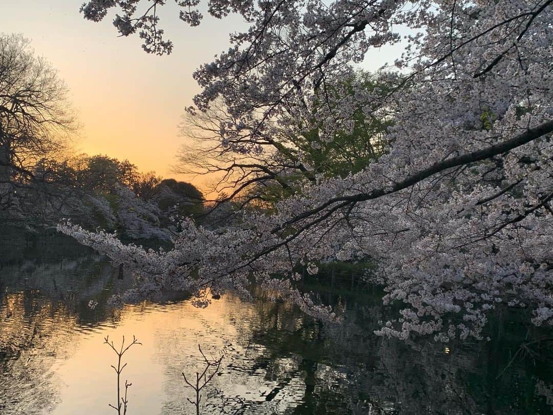 のインスタグラム：「公園！！」