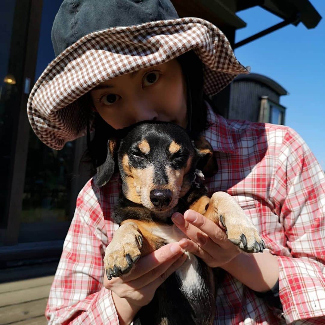 佐藤藍子さんのインスタグラム写真 - (佐藤藍子Instagram)「皆様、お久しぶりです✨  気がついたら3月が、、終わっていた😅  この二週間くらいの私の生活  花が大好きで育てるのも得意な母が 暖かくなってきたから、お花を植えたいなぁと言っていたので 娘の私も、植物育てにチャレンジ👍  小さな鉢植えですが それがあるだけで玄関が何倍にも華やかになりました😍  家に帰るのが楽しみになるんですね🍀  #花#植物#ラベンダー#クレマチス#犬#ミックス犬 #ミニチュアダックスフントミックス#佐藤藍子#aikosato #flower #lavender #miniaturedachshundmix #mixdog #dogsofinstagram #チワックス」4月2日 1時49分 - sato_aiko_official