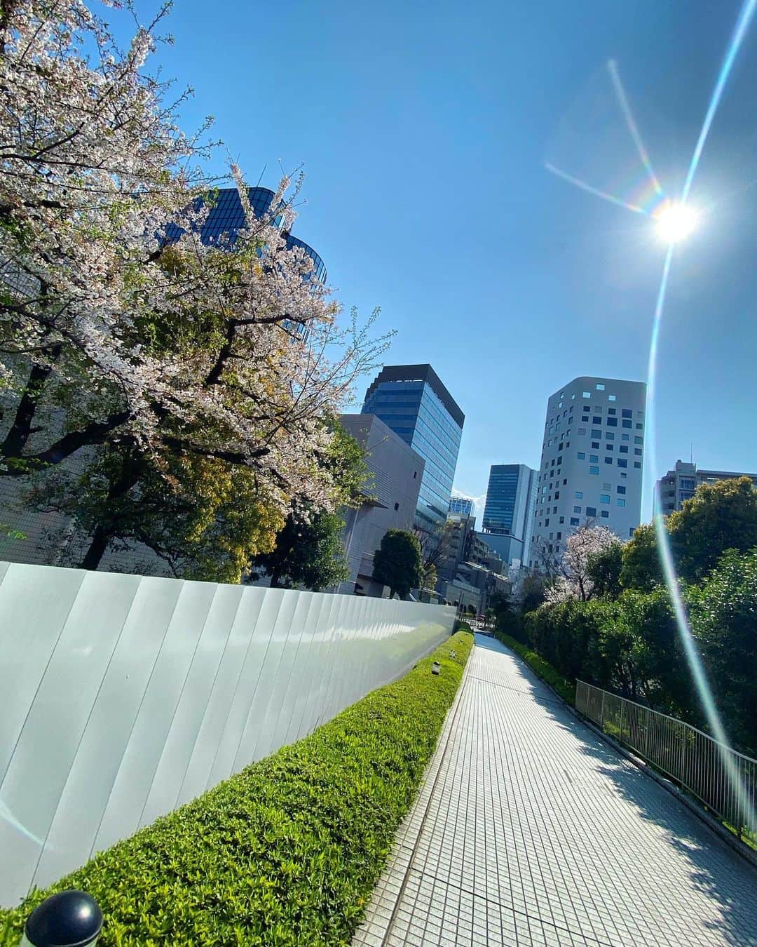 宍戸開さんのインスタグラム写真 - (宍戸開Instagram)「#sunlight #ray #beam」4月2日 14時47分 - kaishishido