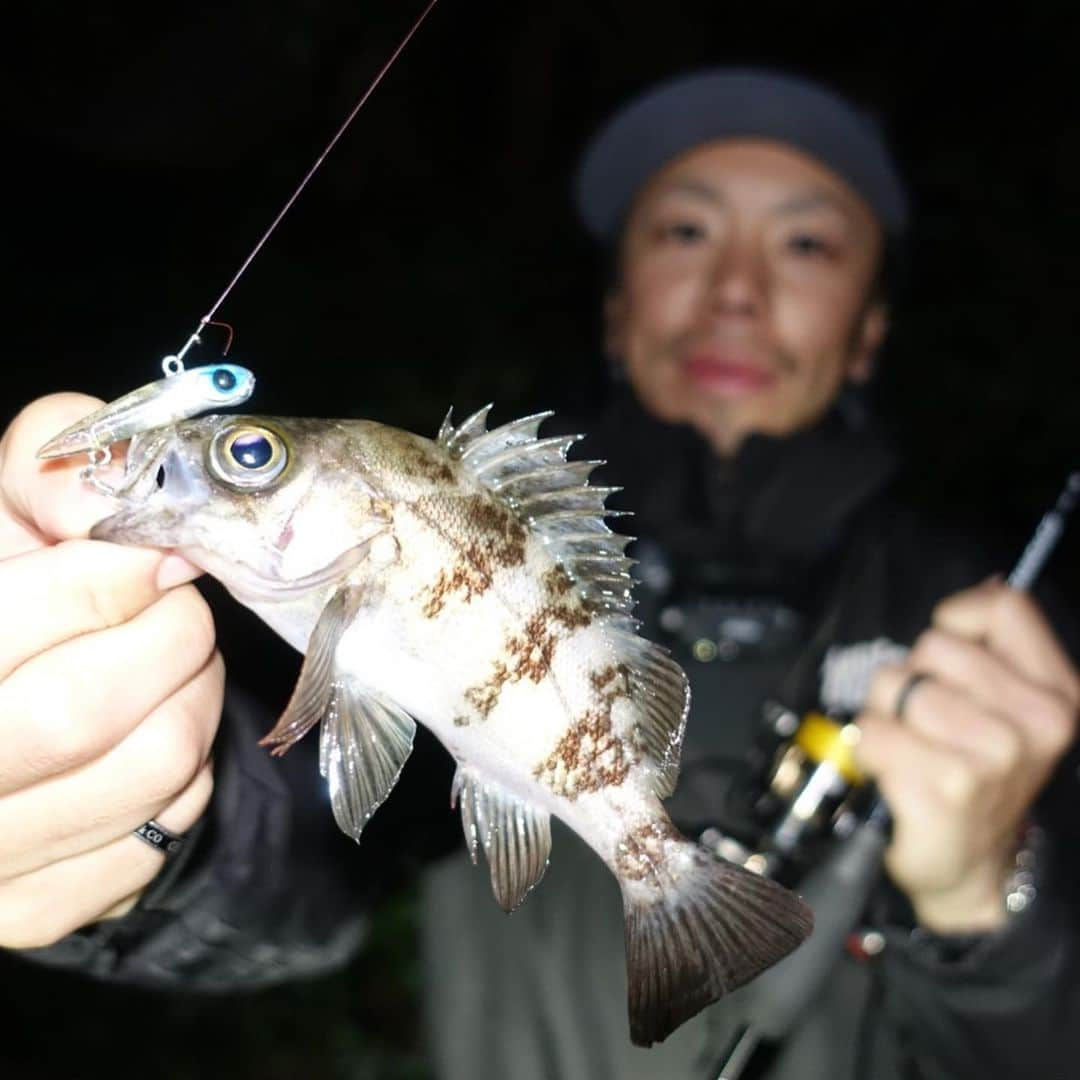 野中泰輔さんのインスタグラム写真 - (野中泰輔Instagram)「今年釣ったお魚さん達！！ 記録、思い出として載せておこうかな📖  @anglersutopia @rivalley_fishing #シーバス #メバル #newerajapan #redbullfishingclubを作りたい #g_shock #mazikfishing #redbull #ラムタラの人 #ozracing #アウトドア #sunline_japan @sunline_japan」4月2日 14時50分 - bboy_taisuke