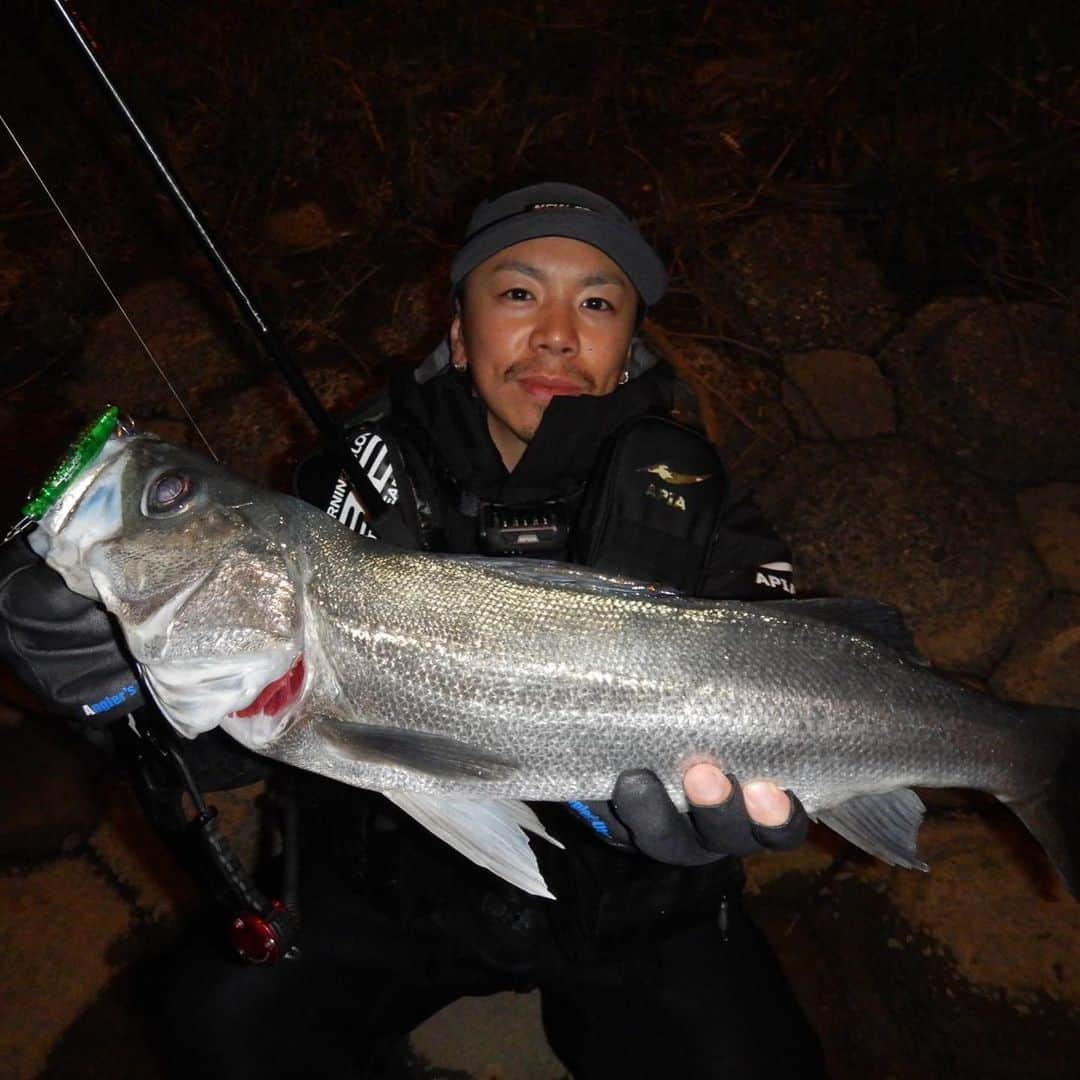 野中泰輔のインスタグラム：「今年釣ったお魚さん達！！ 記録、思い出として載せておこうかな📖  @anglersutopia @rivalley_fishing #シーバス #メバル #newerajapan #redbullfishingclubを作りたい #g_shock #mazikfishing #redbull #ラムタラの人 #ozracing #アウトドア #sunline_japan @sunline_japan」