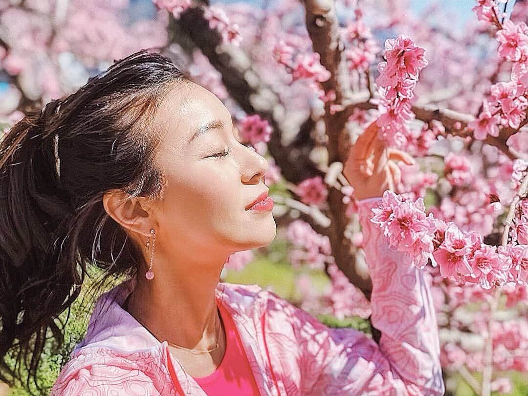 若尾綾香さんのインスタグラム写真 - (若尾綾香Instagram)「☆ 可愛らしいピンクの新府の桃の花。 鮮やかで綺麗な季節が来た！！ まだ見に行けて無いけど 今年も水々しくて美味しい桃を実らせて みんなに笑顔を届けておくれ🍑♡ . #山梨県#韮崎市#桃#🍑」4月2日 10時21分 - ayaka_wakao