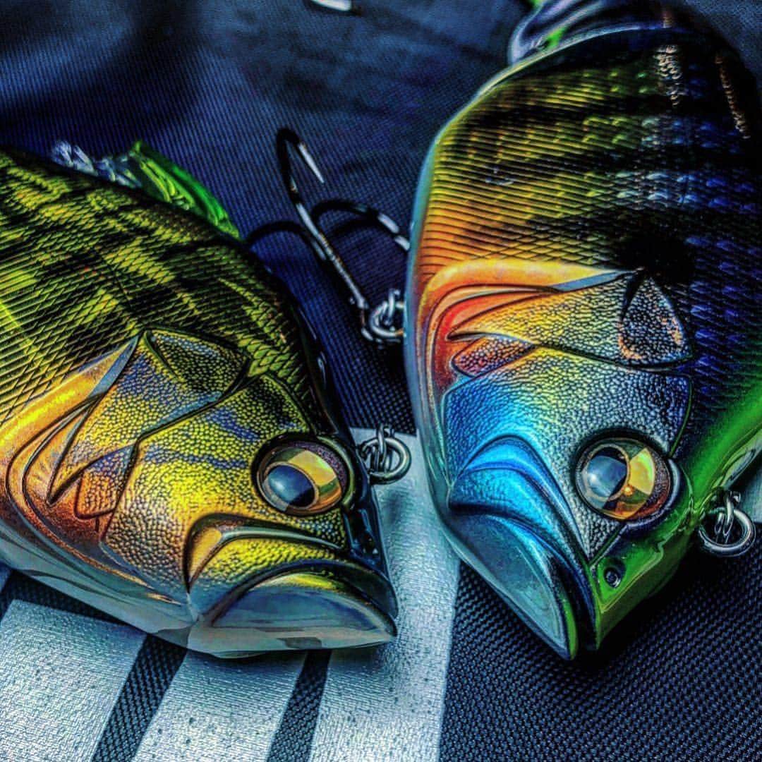 Megabass Inc.のインスタグラム：「Nice picture of VATALION and VATALION190 from @megabasselite #megabass #vatalion #vatalion190 #repost」
