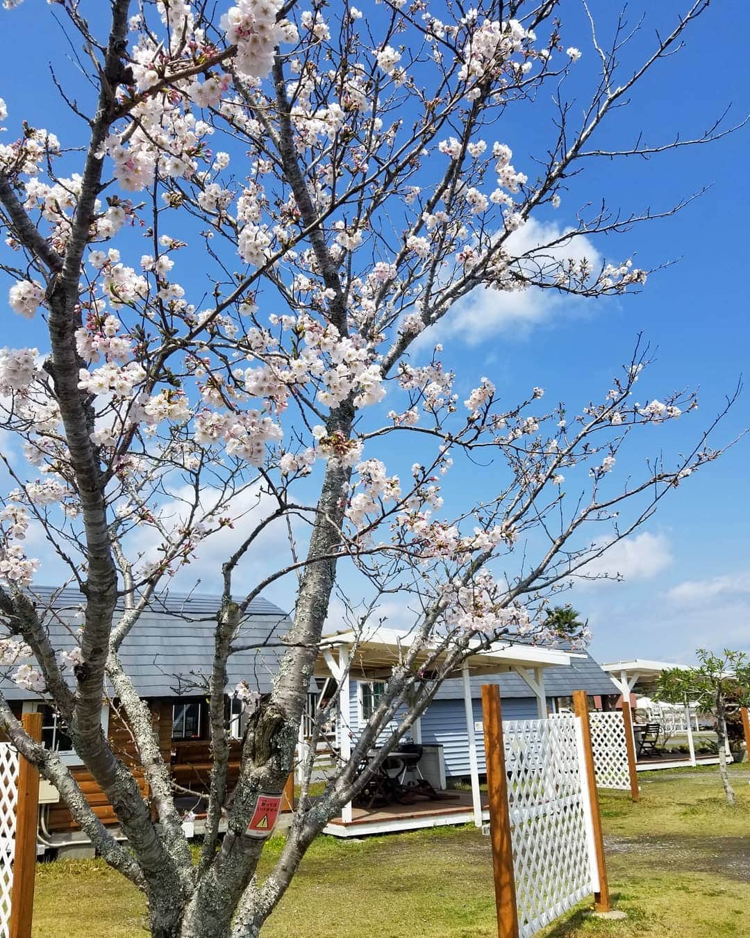 伊勢志摩エバーグレイズのグルメインスタ