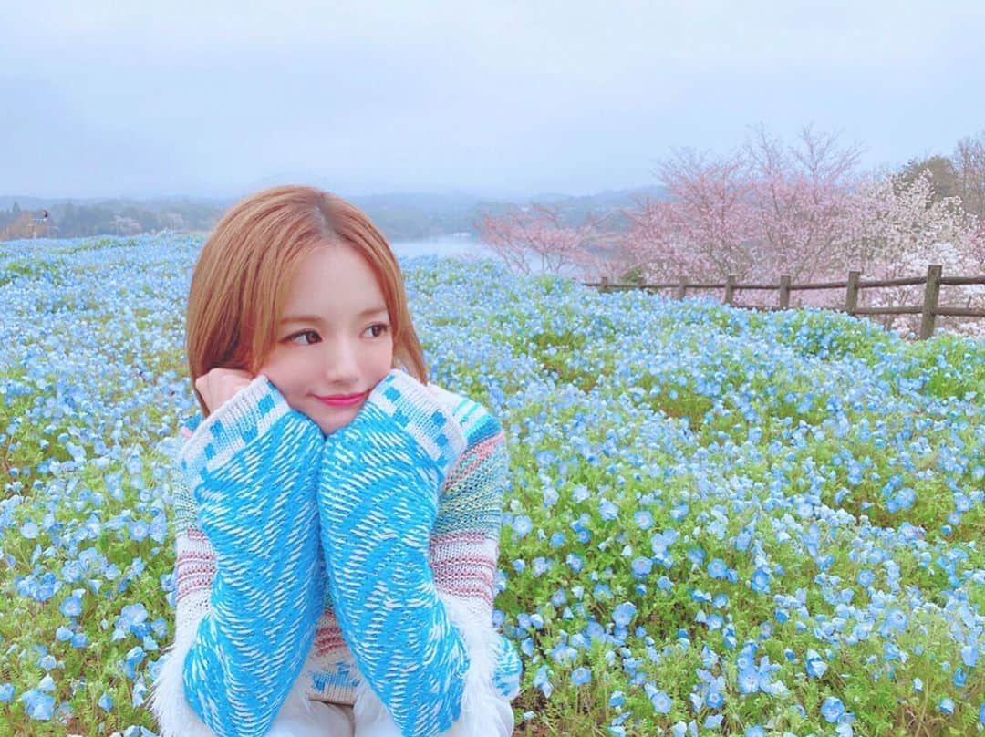 𝕟𝕒𝕞𝕚𝕔𝕙𝕒𝕟のインスタグラム：「﻿ 青いお花に合わせて﻿ ブルーの服えらんだ😙💙﻿ #自然  #植物  #花  #ネモフィラ  #nature﻿ #flower  #blue  #雨  #rain  #春  #spring﻿ #nature  #vegetation  #青  #flower  #happy」