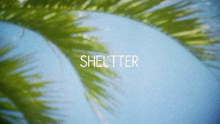 のインスタグラム：「ㅤㅤㅤㅤㅤㅤㅤㅤㅤㅤㅤㅤㅤ  ㅤㅤㅤㅤㅤㅤㅤㅤㅤㅤㅤㅤㅤ 📚SHEL'TTER MOOK ♯52📚 ━━━━━━━━━━━━━━━━━ ㅤㅤㅤㅤㅤㅤㅤㅤㅤㅤㅤㅤㅤ 本日4/2(木)より『SHEL'TTER ♯52 SPRING 2020』で使用しているアイテムの販売がスタート💨ㅤㅤㅤㅤㅤㅤㅤㅤㅤㅤㅤㅤㅤ  今回のWカバー表紙には、世界で活躍するトップモデル・萬波ユカさん【@yuka 】が登場✨ ㅤㅤㅤㅤㅤㅤㅤㅤㅤㅤㅤㅤㅤ 春のヴィンテージスタイルを着こなした8Pに渡るカバーストーリーは見逃せない👀🌱 ㅤㅤㅤㅤㅤㅤㅤㅤㅤㅤㅤㅤㅤ 雑誌はSHEL'TTER WEB STORE、全国書店・コンビニ、ネット書店、一部店頭にて発売中📖 ㅤㅤㅤㅤㅤㅤㅤㅤㅤㅤㅤㅤㅤ 本をGETした方は #SHELTTER52 のハッシュタグをつけて投稿してね♪ ㅤㅤㅤㅤㅤㅤㅤㅤㅤㅤㅤㅤㅤ ━━━━━━━━━━━━━━━━━ #SHELTTER52 #SHELTTERMOOK #SHELMAG #萬波ユカ」