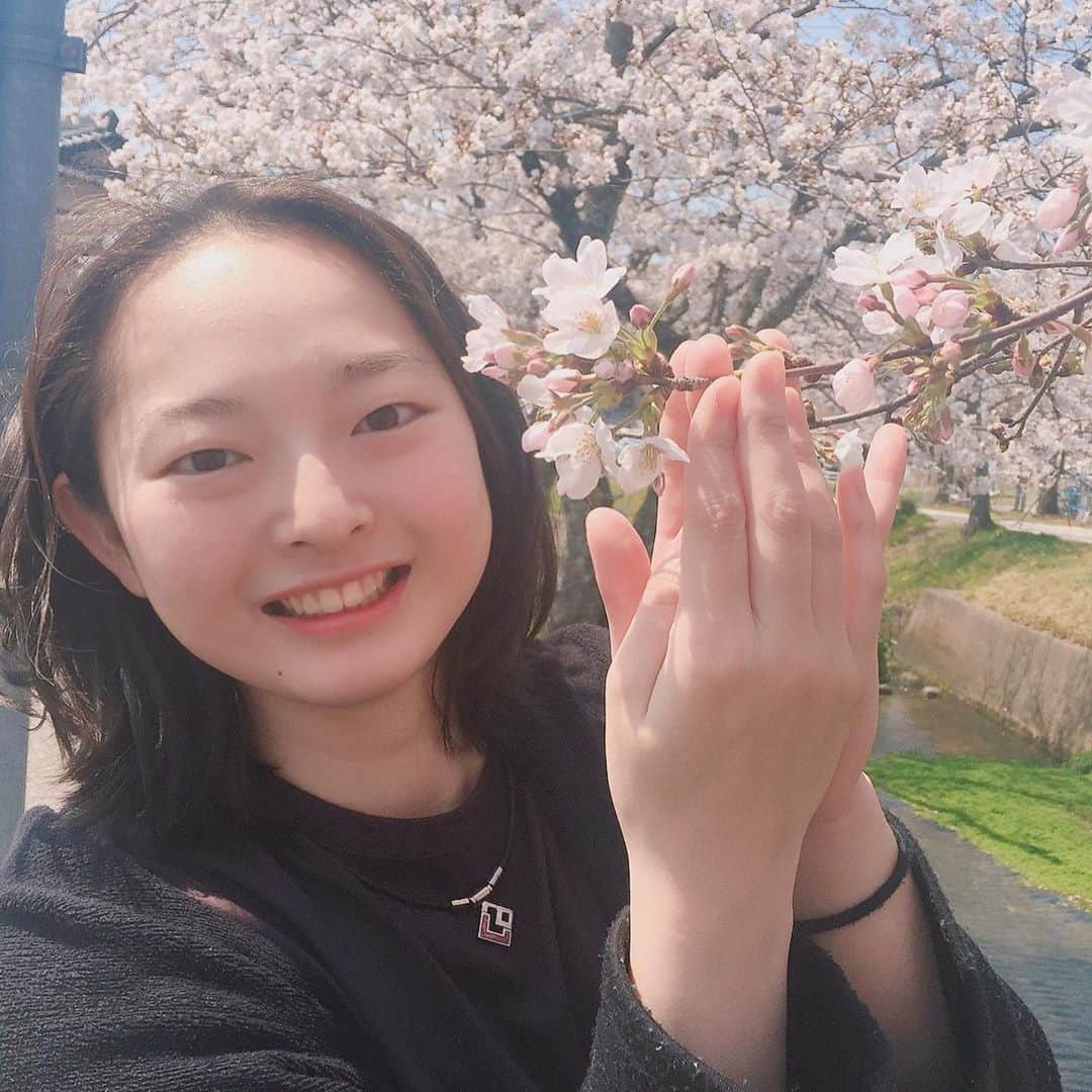 大庭雅さんのインスタグラム写真 - (大庭雅Instagram)「⛸🌸💗 ・ ・ お昼休憩で癒されてきました🥰 今年も待ってたよー🌸 素敵なお花を見せてくれてありがとう♡ ・ よし！午後もがんばりましょうっ⛸✊ #cherryblossom #figureskate #大庭雅 #カメラマンさんと繋がりたい」4月2日 12時53分 - miyabi_oba