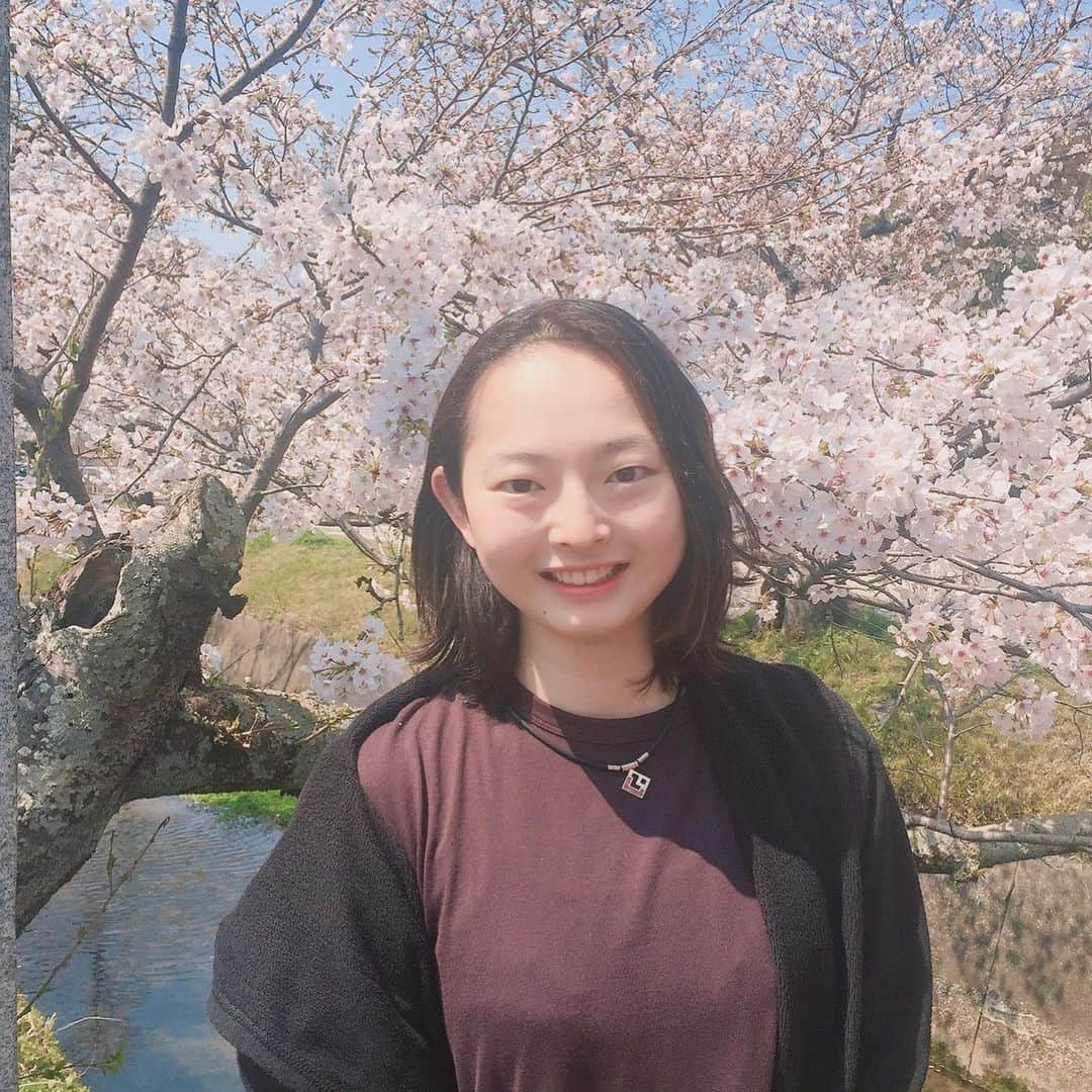 大庭雅のインスタグラム：「⛸🌸💗 ・ ・ お昼休憩で癒されてきました🥰 今年も待ってたよー🌸 素敵なお花を見せてくれてありがとう♡ ・ よし！午後もがんばりましょうっ⛸✊ #cherryblossom #figureskate #大庭雅 #カメラマンさんと繋がりたい」