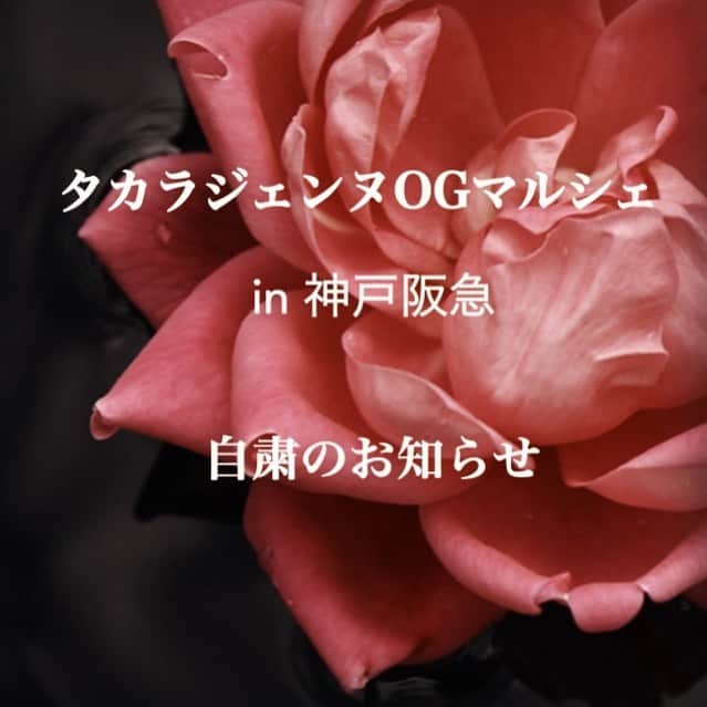 のインスタグラム：「＊ 【神戸阪急催事出店の自粛について】 . 4月15日〜21日に予定しておりましたタカラジェンヌOGマルシェin神戸阪急 ですが、 新型コロナウイルス感染症の拡大を受け、国の基本方針を踏まえた上で、 国内でのまん延防止や安全確保の観点から、 出店を自粛させていただくことに致しました。 . 来店を楽しみにしてくださっておりました皆さまもいらっしゃる中、大変心苦しいのですが…😔 今は何よりウイルス感染防止に努めるべき時期と判断致しました。 . 感染症拡大の防止には、お一人お一人の咳エチケットや手洗い・消毒などの実施がとても重要です。 皆さまのご理解とご協力をお願いいたします。 . また皆さまに店頭でお会いできる日を心待ちにしております。 . #タカラジェンヌOGマルシェ #神戸阪急 #催事 #百貨店」