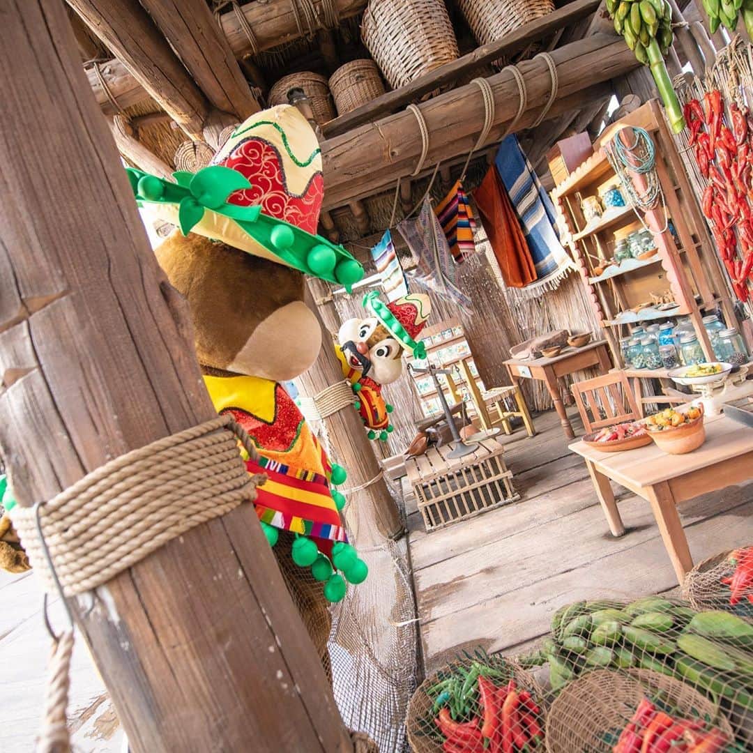 東京ディズニーリゾートのインスタグラム