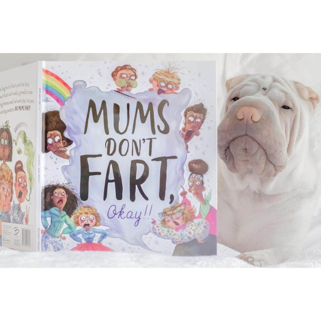 annie&pADdinGtoNさんのインスタグラム写真 - (annie&pADdinGtoNInstagram)「Today in Lambington’s library he reviewed the book Mums don’t fart 😏  He gave it 5 out of 5 farts 💨💨💨💨💨 #lambingtonslibrary #bookreview 📚 #mumsdontfart #lambington #sharpei #sharpeipuppy #love #puppylove #sharpeisofinstagram #weeklyfluff #instagood #dog #dogs #doggo #dogsofinstagram #puppy #puppiesofinstagram #bookclub #bark #barked #iloveyoutothemoonandback」4月2日 13時25分 - anniepaddington