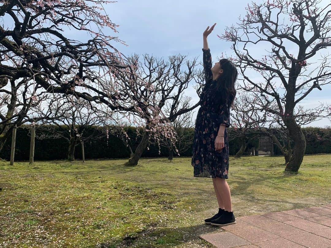 池端美悠さんのインスタグラム写真 - (池端美悠Instagram)「新年度スタート!! 中学校生活もあと1年 春休み中に見に行った梅や桜がキレイでした^^」4月2日 13時26分 - miyu_ikehata