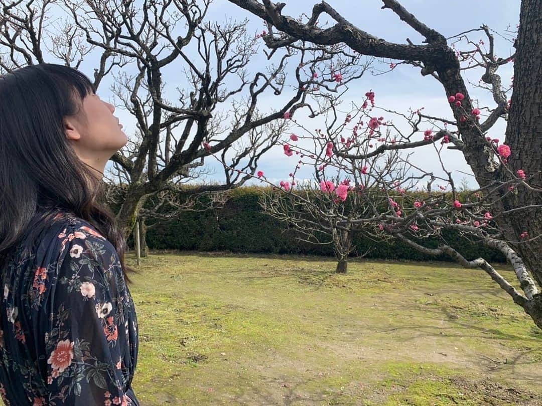 池端美悠さんのインスタグラム写真 - (池端美悠Instagram)「新年度スタート!! 中学校生活もあと1年 春休み中に見に行った梅や桜がキレイでした^^」4月2日 13時26分 - miyu_ikehata