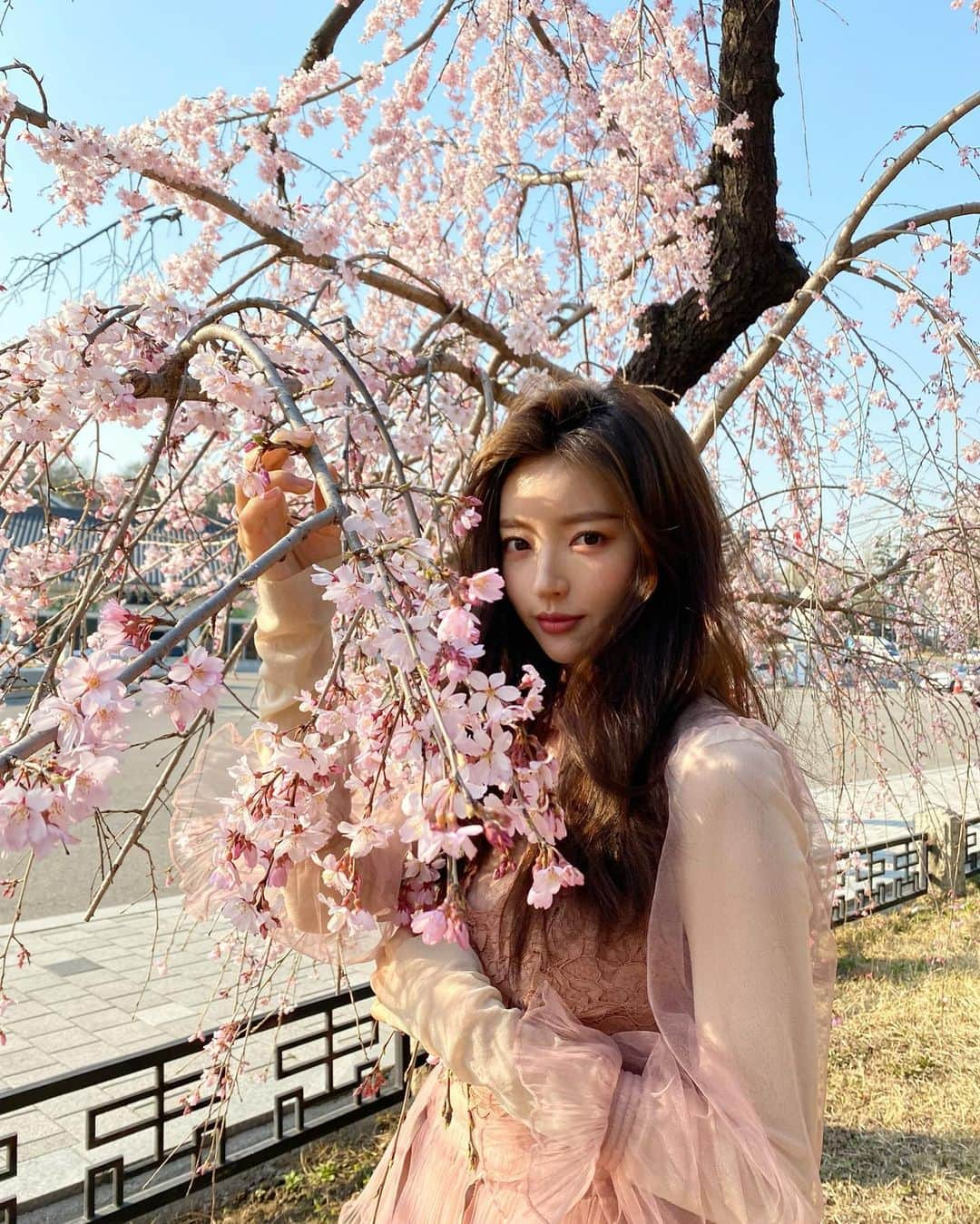 ziyooniさんのインスタグラム写真 - (ziyooniInstagram)「다들 면역력 높이기 잘 하고 있죠 힘내요🦩우리」4月2日 13時41分 - ziyooni