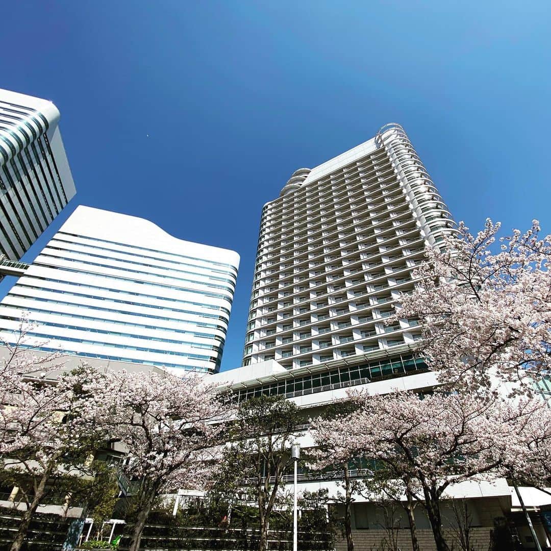 横浜ベイホテル東急［公式］さんのインスタグラム写真 - (横浜ベイホテル東急［公式］Instagram)「/ 久々の青空にみなとみらいの桜も 華やぎを増しています のんびりと空を見上げながら過ごす 癒しのひとときです🌸 . #ベイ東急de春さんぽ  インスタキャンペーン実施中！ @yokohamabayhoteltokyu の公式サイトをご覧ください . #桜 #さくら #春  #みなとみらい21  #さくら通り #お花見 #青空  #横浜ベイホテル東急  #横浜 #みなとみらい  #みなとみらい線フォト散歩  #にしまろ探検隊  #cherryblossom  #spring #flowers #sky #yokohamabayhoteltokyu #yokohama #japan  #luxuryhotel #myyokohama」4月3日 0時49分 - yokohamabayhoteltokyu