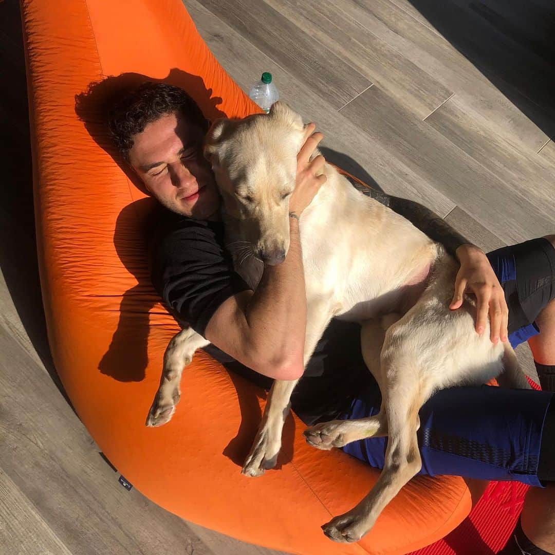 ダヴィデ・カラブリアさんのインスタグラム写真 - (ダヴィデ・カラブリアInstagram)「Relax after training 🤜🏼🤛🏼🐶」4月2日 23時23分 - davidecalabria2