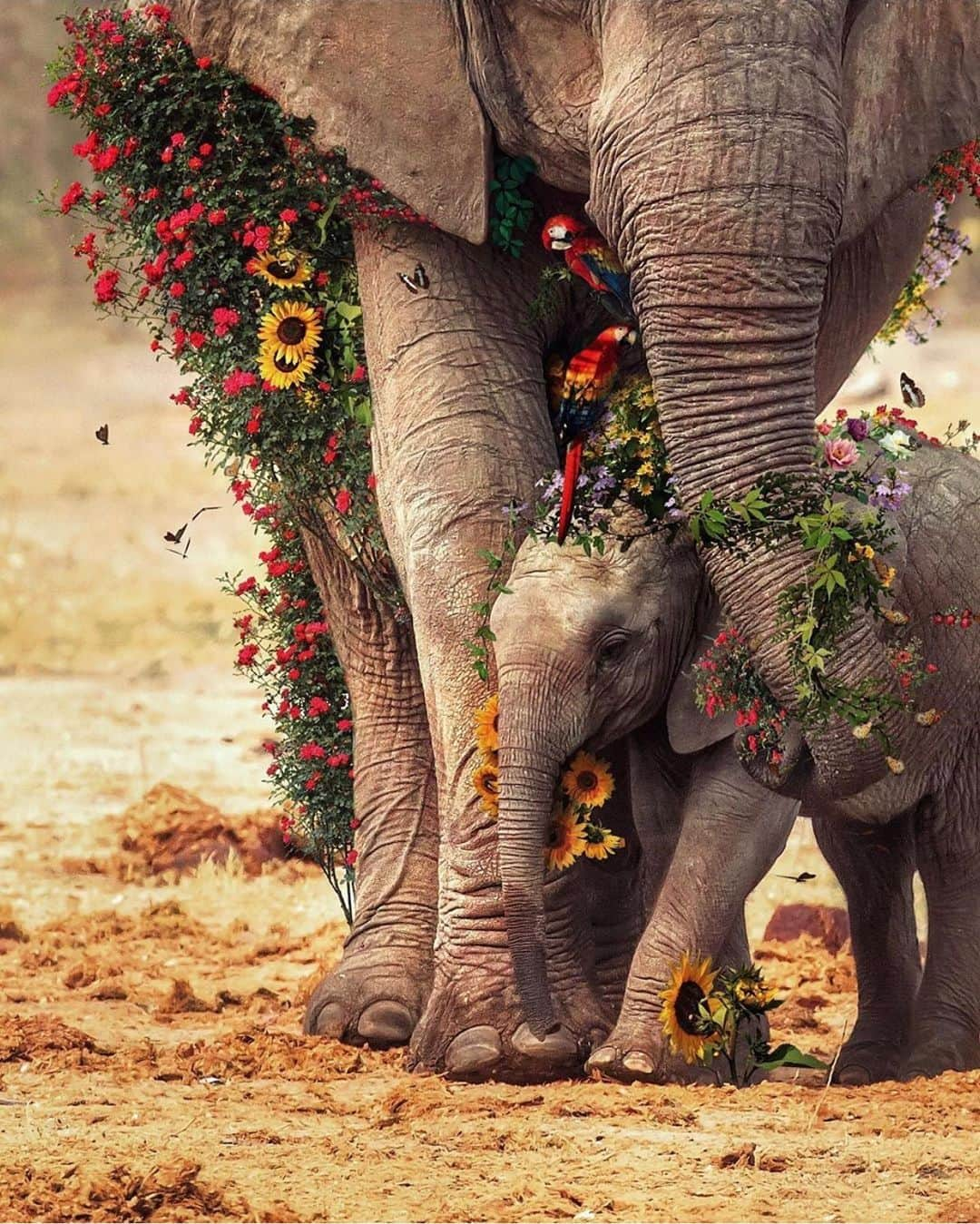 Animalsさんのインスタグラム写真 - (AnimalsInstagram)「Mother Nature ❤️ @marcel_van_luit  #elephant #southafrica . . . #cute #love #goals #stylish #perfect #fashionpost #photooftheday #girl #bestoftheday #inspiration #amazing #fashioninsta #beach #beautiful #flowers #fashionable #streetstyle #fashionblog #babies #style #gorgeous #baby #balcony #fashion #dress #babe #insta_animall」4月2日 23時32分 - insta_animall