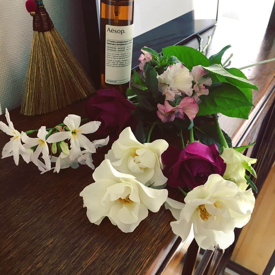 今村沙緒里さんのインスタグラム写真 - (今村沙緒里Instagram)「紫のバラ🦄 香りも素敵で癒されます。 2本買おうとしたら… おまけの方が豪華！ お花屋さん、ありがとう💜 不安な毎日ですが 家の中で楽しみ見つける日々。 小さな幸せに感謝です＊ ・ Purple roses！ and flower shop owener's present！ Thanks❤︎ I want to enjoy stay home. ・ #flower #rose #purple #love #stayhome #꽃 #예쁘다 #花 #バラ #紫 #癒し #家にいよう」4月3日 0時41分 - saorix13
