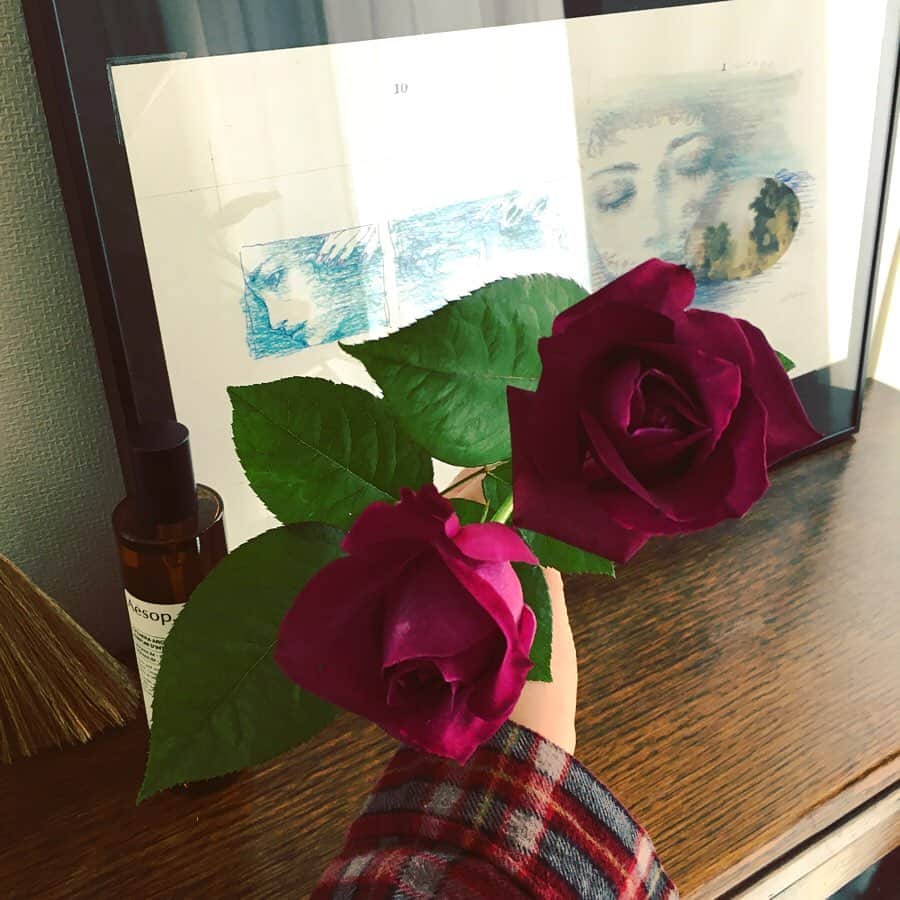 今村沙緒里さんのインスタグラム写真 - (今村沙緒里Instagram)「紫のバラ🦄 香りも素敵で癒されます。 2本買おうとしたら… おまけの方が豪華！ お花屋さん、ありがとう💜 不安な毎日ですが 家の中で楽しみ見つける日々。 小さな幸せに感謝です＊ ・ Purple roses！ and flower shop owener's present！ Thanks❤︎ I want to enjoy stay home. ・ #flower #rose #purple #love #stayhome #꽃 #예쁘다 #花 #バラ #紫 #癒し #家にいよう」4月3日 0時41分 - saorix13