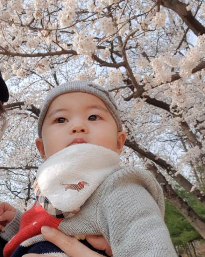 ミン・ヨンウォンのインスタグラム：「너는 나의 봄 💚 너무너무너무너무너무 사랑해 민서야. . . . . . . . . .  #12갤아기 #돌아기  #아기모델 💌#밍크뮤 👍 #리틀그라운드 #블루독 🐶매니아  #육아일기 #신혼일기 #육아맘 #육아소통 #일상 #소통 #맞팔 #데일리 #황금돼지띠아들 #오오티디  #베이비스타그램 #1stbirthday #present #baby #babyboy #birthdayboy #love #family #friends」