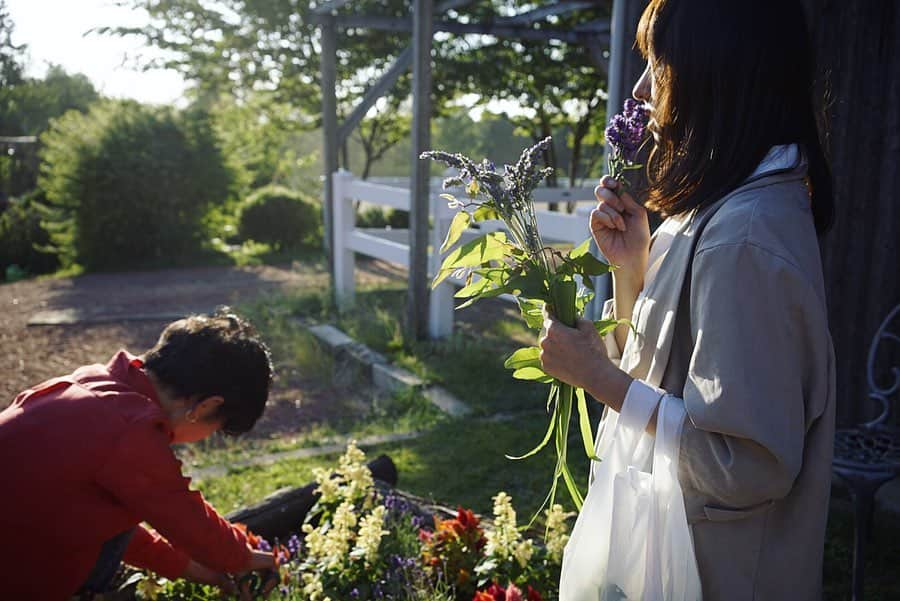 東美樹さんのインスタグラム写真 - (東美樹Instagram)「Reconnecting with yourself💛🌿✨ This time every year I go to the field where I go horseback riding and do some gardening with people there. But this time I can’t make it happen. So, to make up for my love for gardening, I started making my mini herb/vegetable garden in my small balcony. I have missed how good it felt touching the soil and the peace that came with it. I’m taking care of my garden, but in truth my garden is taking care of me☺️💖 . 毎年春になるとお世話になってる乗馬クラブでハーブ摘みをするのが春の楽しみの一つ。(この年はお野菜もいただきました🥒💛) . 今回は行けそうにないので代わりにmy miniハーブガーデンプロジェクトをお家のバルコニーで進行中🔨🌿✨ . 自然と触れ合うと自分は地球に生まれてここで生かされているんだなと再実感できる🌏💞 クラブの動物たち、自然、スタッフ、次皆んなに会えるのを楽しみに、今は出来る範囲で出来ることを🕊✨ . #gardenlife #gardening #herbgarden #horsebackriding #naturallife #zen #mindfulness #relaxing #mytherapy #yogi #animist #ナチュラルな暮らし #自然が好き #オーガニック #乗馬女子 #ハーブガーデン #マインドフルネス #ガーデニング #ハーブのある暮らし #デトックス」4月2日 15時59分 - mikko.36___