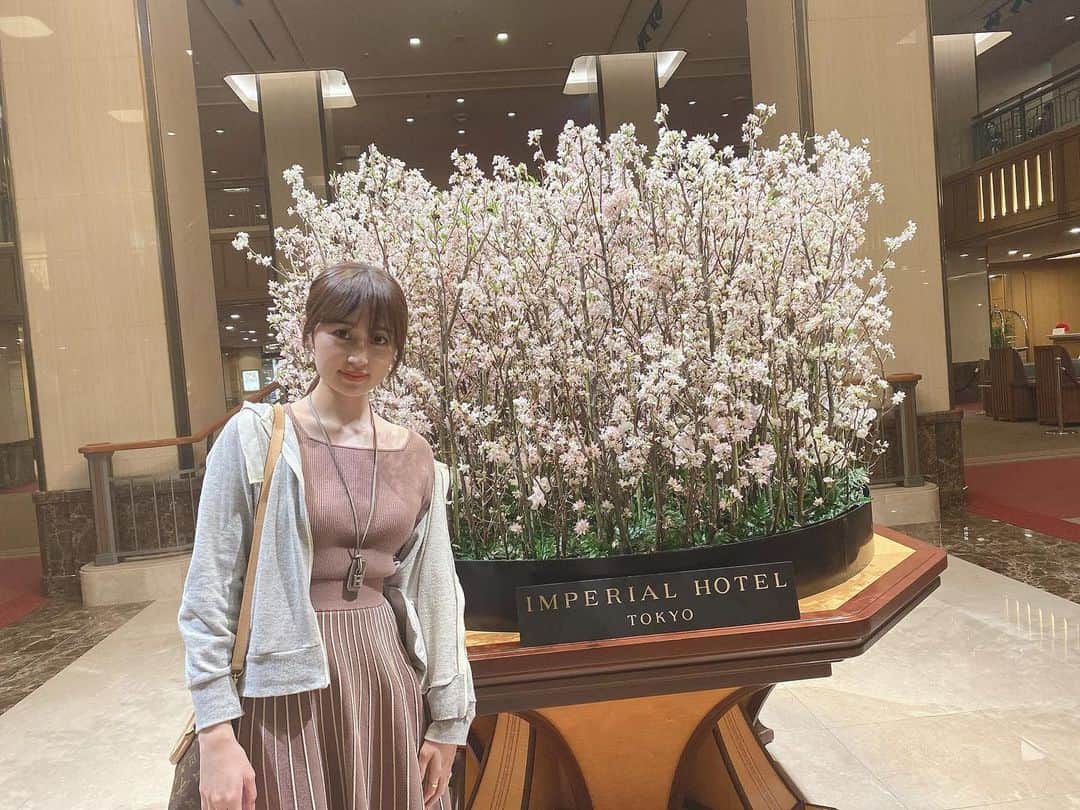 小森美果さんのインスタグラム写真 - (小森美果Instagram)「桜🌸ちょいとまえの」4月2日 16時11分 - mika.165