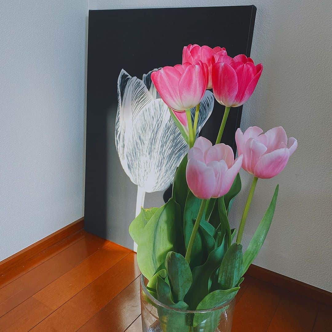 福地夏未さんのインスタグラム写真 - (福地夏未Instagram)「🌷 少し開いてきてしまってるけど ぷりんっとしてほんとにかわいい _ #tulip #🌷」4月2日 16時36分 - natsuminmin19