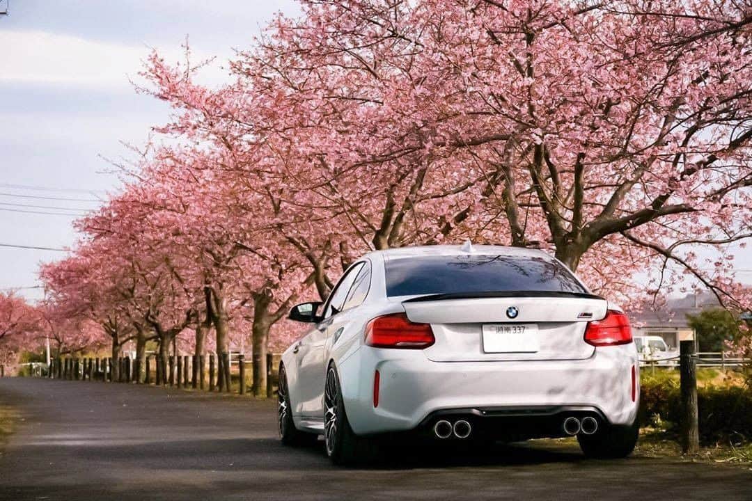 のインスタグラム：「本日は、BMWモデルの写真をたくさんシェアしてくださっている @akiran36 さんの素敵な写真をご紹介。 . 満開の桜とボディーカラーのコントラストが美しい、春の訪れを感じる一枚です。 . @akiran36 さん、素敵な写真をありがとうございます。 . （photo by @akiran36） . #bmwfanclub #BMW #BMWJapan #駆けぬける歓び」