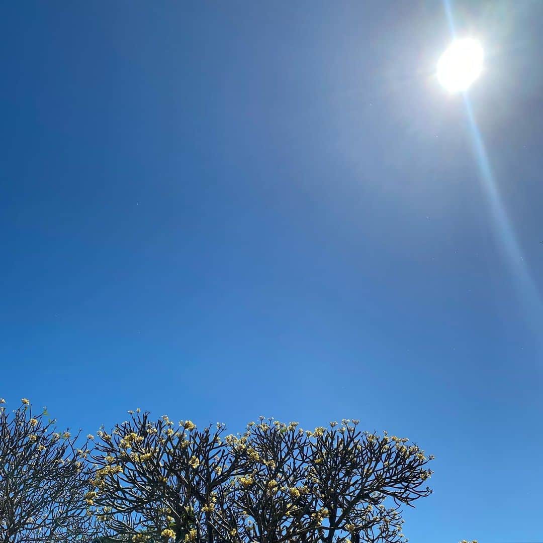 のインスタグラム：「空が高く広いのはハワイの宝です。  #hawaii  #sunshine」
