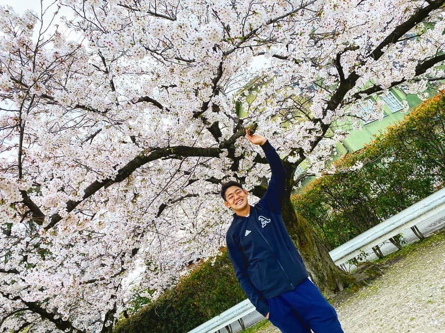 藤田慶和さんのインスタグラム写真 - (藤田慶和Instagram)「桜の季節到来🌸 Cherry Blossoms🌸 #散歩 #桜 #cherryblossom #春 #adidas」4月2日 18時00分 - yoshikazu15